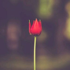 Meet your Posher, Pradnya